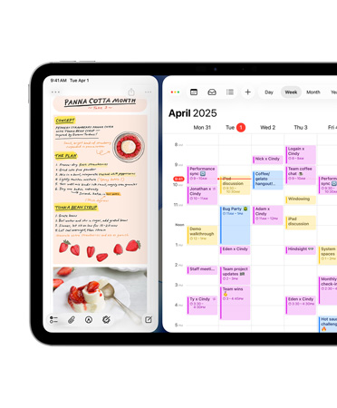 iPad i liggande läge med appen Dagbok på skärmens vänstra sida